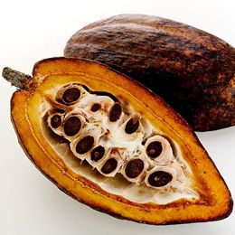 what is mayan ceremonial cacao chocolate yoga(r)